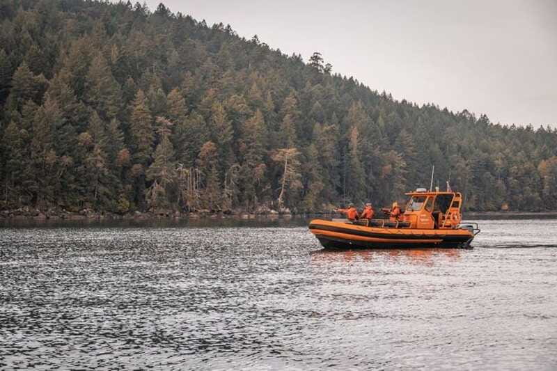 Nanaimo: Whale Watching Open Boat Tour - Watching humpbacks, orcas, and other wildlife