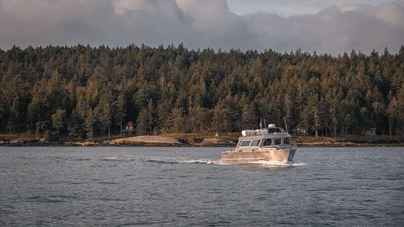 Nanaimo: Whale Watching Semi-Covered Boat Tour - Meeting the boat on Nanaimo’s Front Street