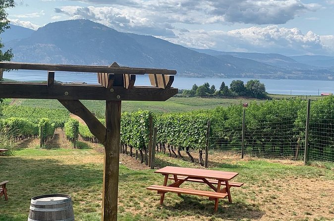 Naramata Full Day Lunch Wine Tour- Incl. Tasting Fees & Gratuity! - Lang Vineyards brings more than 30 years of experience