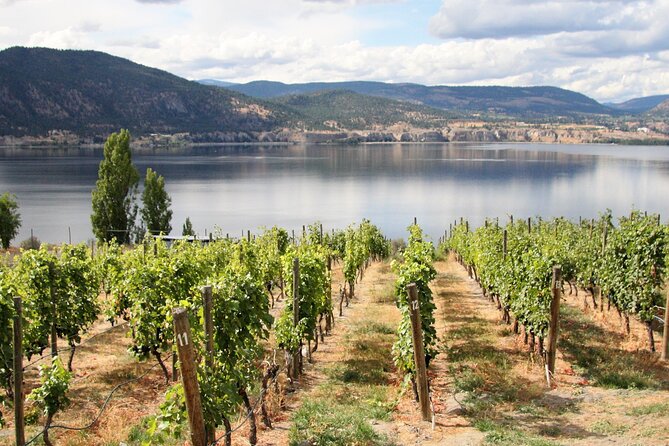Naramata Private Wine Tour - Full Day - Why a private Naramata wine tour works well