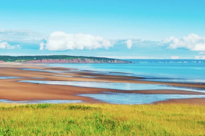New Brunswick Shore Excursion: Bay of Fundy and More Highlights Tour - Local Food, Bought at Your Own Cost