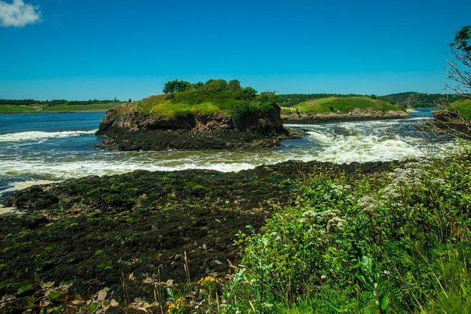 New Brunswick Shore Excursion: Bay of Fundy and More Highlights Tour - Cruise-Day Timing and Practical Advice