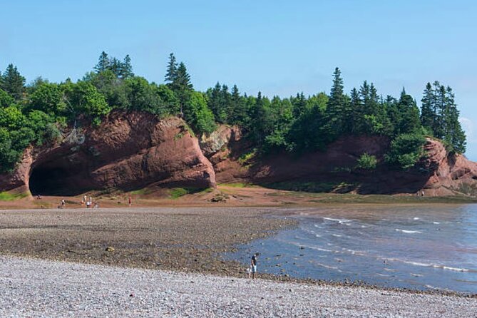 New Brunswick Shore Excursion: Bay of Fundy and More Highlights Tour - Who Will Enjoy This Tour Most?