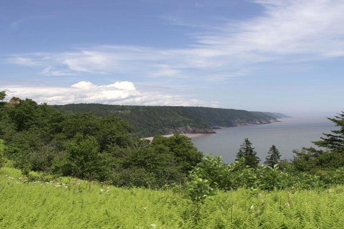 New Brunswick Shore Excursion: Bay of Fundy and More Highlights Tour - The Reversing Falls Stop