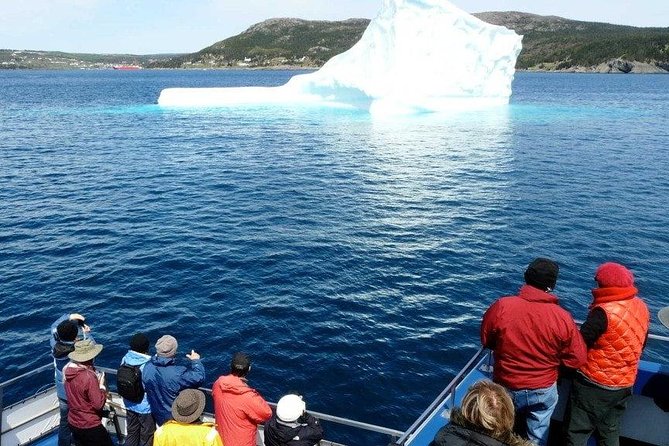 Newfoundland Puffin and Whale Watch Cruise - From St. John’s to Bay Bulls