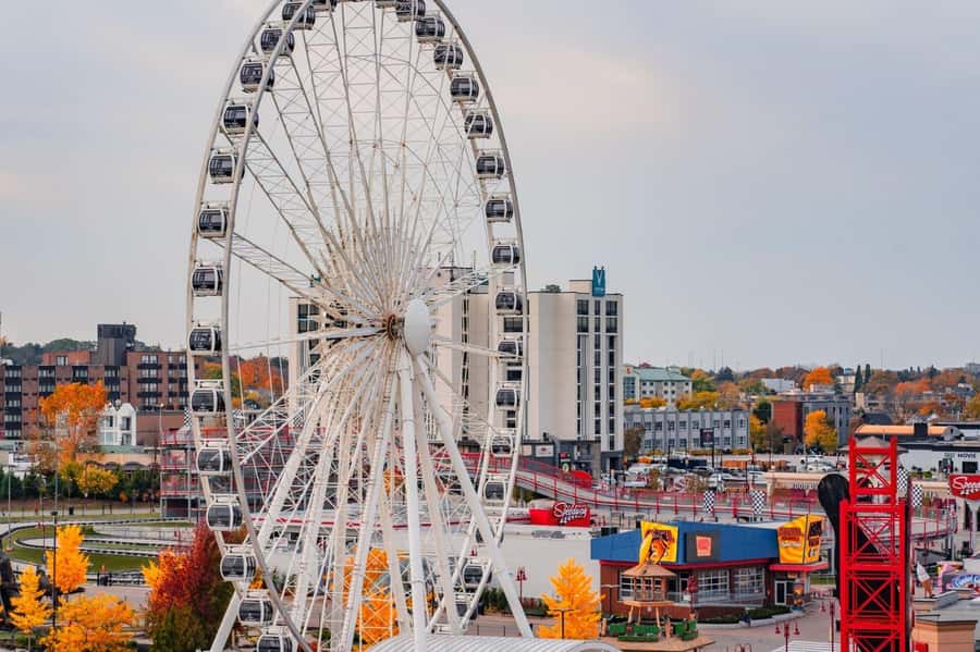 Niagara: Boat Tour, Lunch & Maple Syrup Tasting - Who should book this experience?