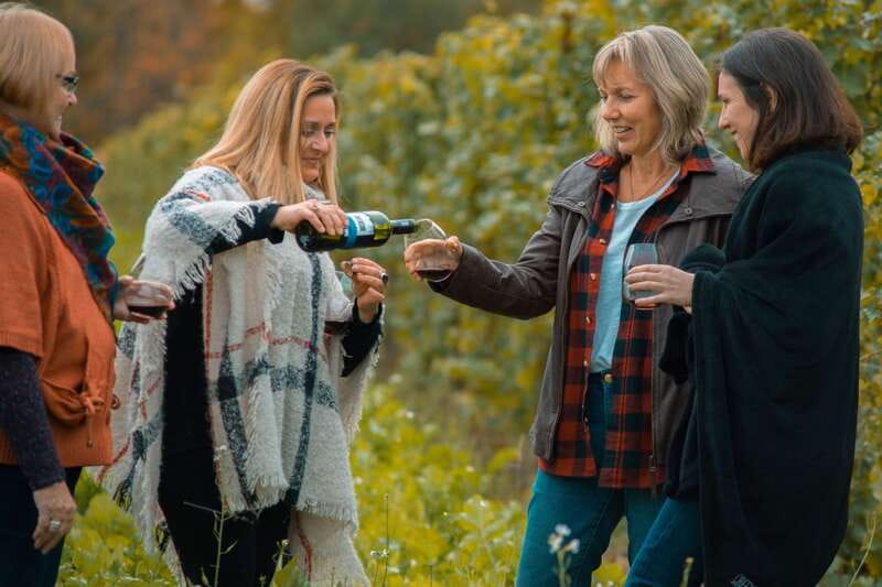 Niagara, Canada: Half-Day Winery Tour with Tastings - Following the Niagara Parkway toward wine country