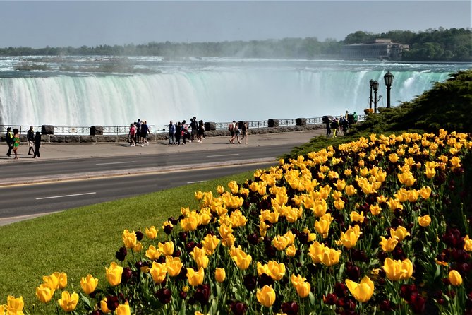 Niagara Falls and Niagara-on-the-Lake Day Tour from Toronto - First sight of Horseshoe Falls