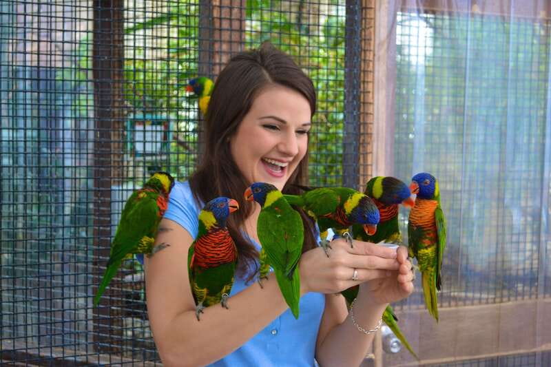 Niagara Falls, Canada: Bird Kingdom Entry Ticket - Key things to know before you go