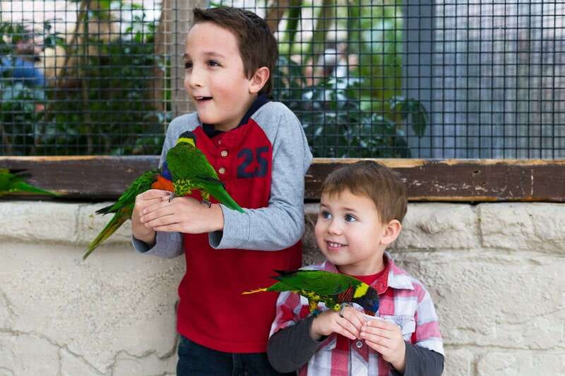 Niagara Falls, Canada: Bird Kingdom Entry Ticket - Who will enjoy Bird Kingdom most?