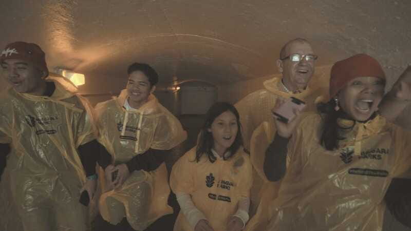 Niagara Falls: Day & Night Tour with Boat Ride and Dinner - Skylon Tower and the best wide view