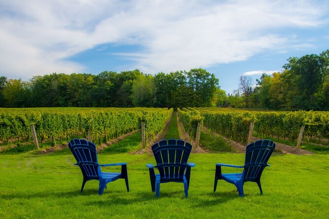 Niagara Falls Day Tour from Toronto (9 Hours) - Niagara Falls and the boat cruise