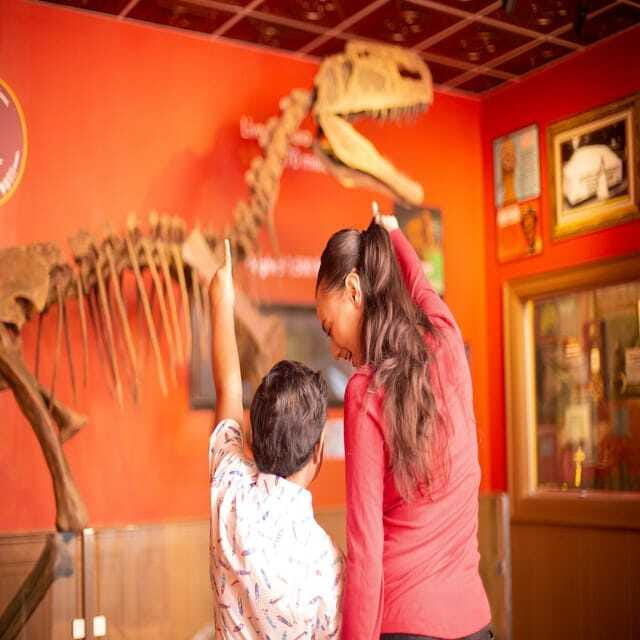Niagara Falls: Ripley's Believe It or Not! Museum Entry - How to make the visit work with your Niagara Falls day