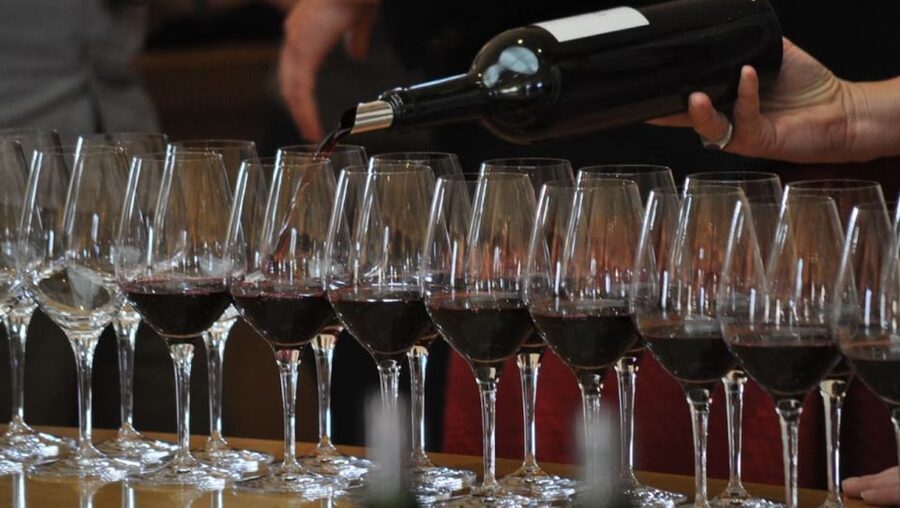 Niagara-on-the-Lake: Bicycle Tour with Wine Tasting - Final verdict: a good fit for an active wine day
