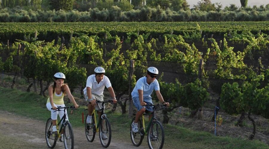 Niagara-on-the-Lake: Bicycle Tour with Wine Tasting - Three winery tastings, with a possible fourth stop