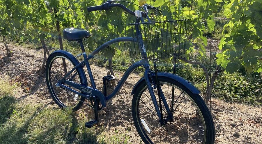 Niagara-on-the-Lake: Bicycle Tour with Wine Tasting - Buying bottles without carrying them
