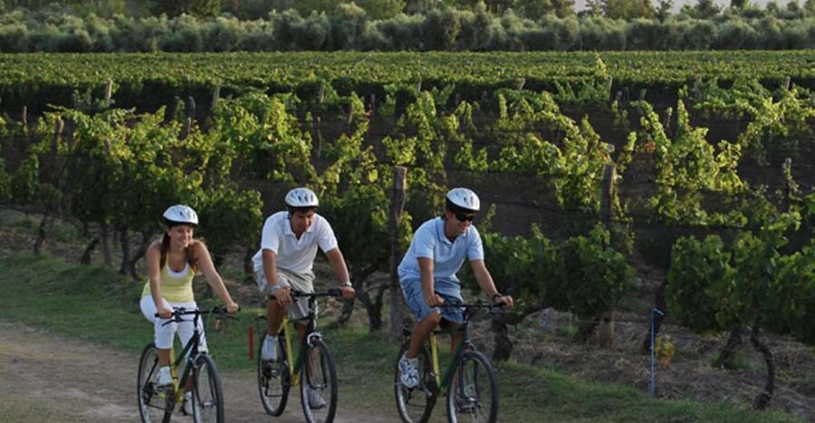 Niagara-on-the-Lake: Bicycle Tour with Wine Tasting - The bicycle route and what the distance means