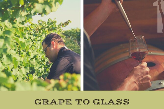 Niagara-on-the-Lake Grape to Glass Wine Experience - Key points to know before you go