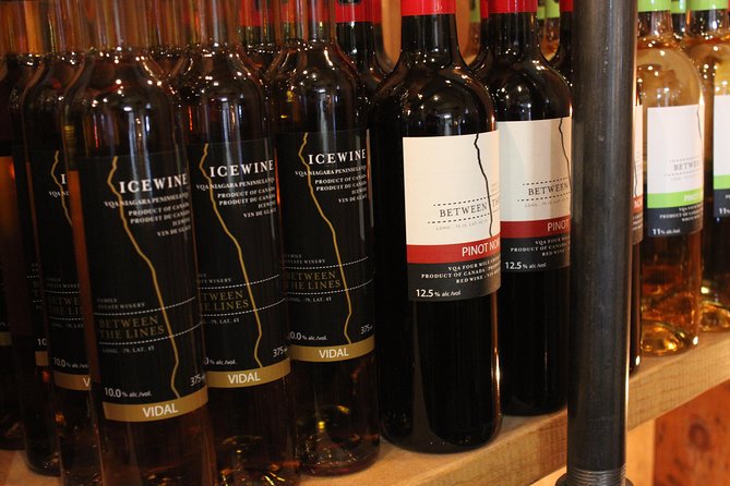 Niagara-on-the-Lake Grape to Glass Wine Experience - Walking among the vines