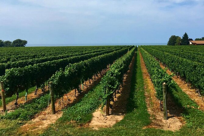 Niagara-On-The-Lake Guided Wine and Charcuterie Full-Day Tour - The winery lineup can change