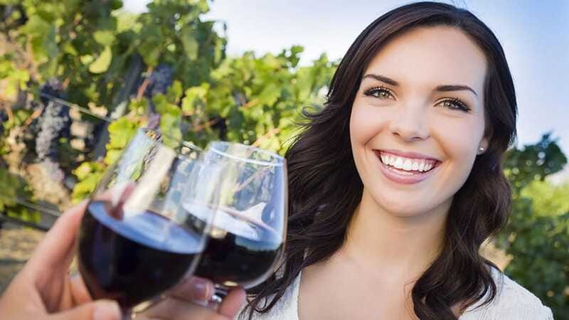 Niagara-on-the-Lake: Sunset Wine Tour with Dinner - Is $165 a fair price?