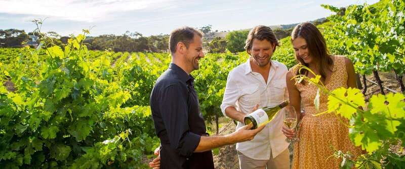Niagara-on-the-Lake: Wine Tour with Tastings and Lunch - Three wineries, one relaxed introduction