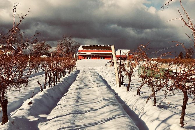 Niagara's Decadent Sparkling and Icewine Tasting - How much value do you get for $22.94?