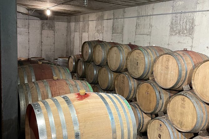 Niagara Wine Tasting and three courses Dinner - Who Should Book This Experience?