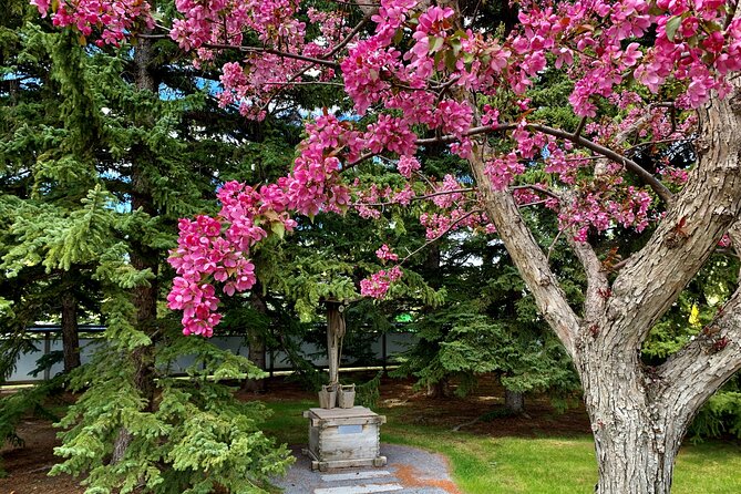 Nikka Yuko Admission (Adults & Children) - The Friendship Bell and Henderson Lake