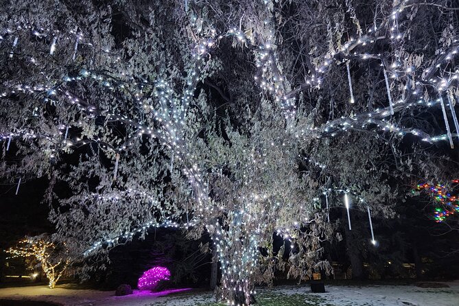 Nikka Yuko Japanese Garden Winter Light Festival - Entering Nikka Yuko Japanese Garden after dark