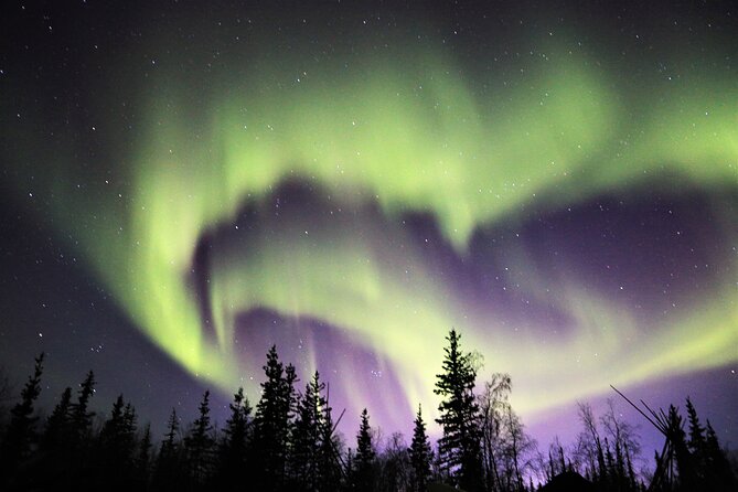 Northern Lights Tour Yellowknife - The free photos are a serious bonus