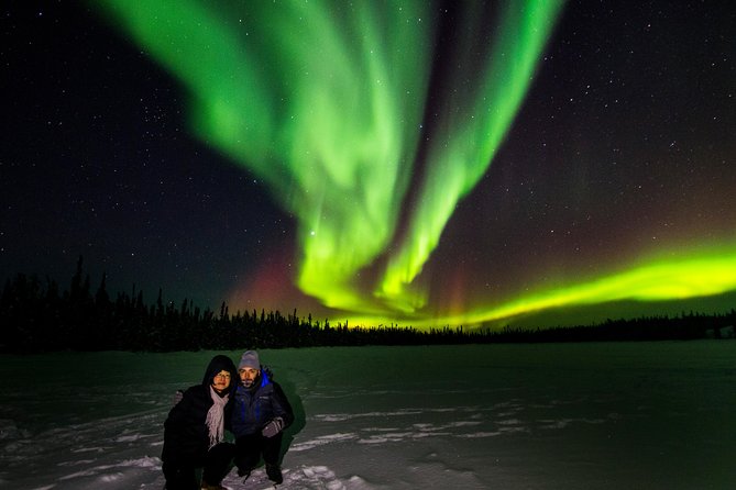 Northern Lights Tours - Key points to know before booking