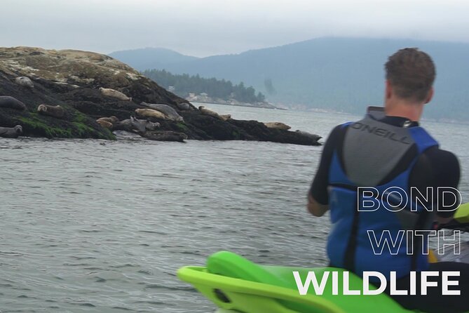 Ocean is Yours Seadoo Experience from Vancouver - Horseshoe Bay opens the Howe Sound views
