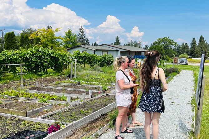 Okanagan Bee Tour and Lunch at Winery in Kelowna - A local lunch that takes its time