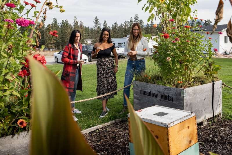 Okanagan Bee Tour, Wine Tasting and Lunch at Kelowna Winery - Honey wine tasting with a local twist