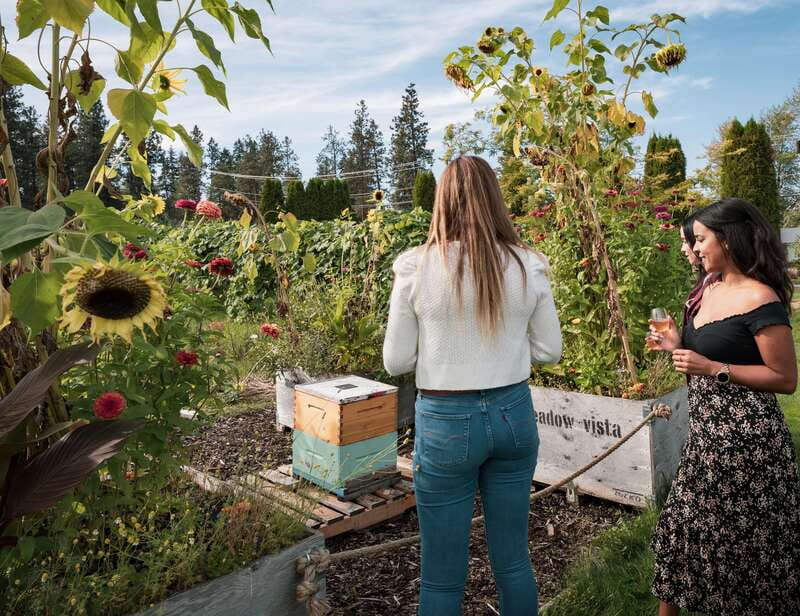 Okanagan Bee Tour, Wine Tasting and Lunch at Kelowna Winery - Farm-to-table lunch on the patio