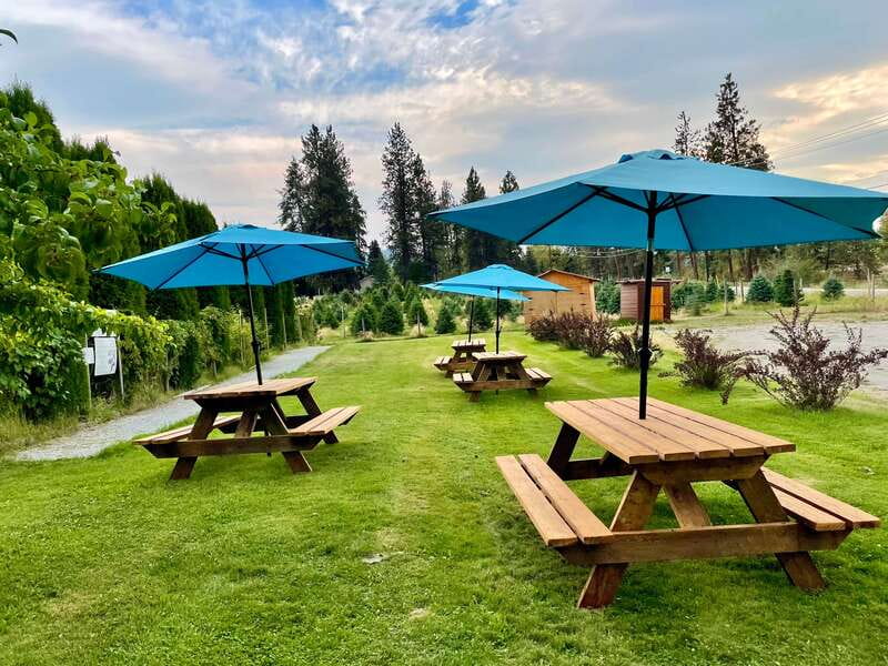 Okanagan Bee Tour, Wine Tasting and Lunch at Kelowna Winery - Lawn games and time to slow down