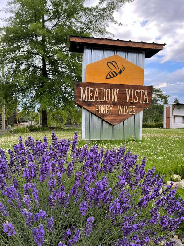 Okanagan Bee Tour, Wine Tasting and Lunch at Kelowna Winery - Who should book this experience?