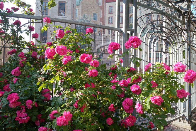 Old Quebec City Private Walking Tour : History and Nature - The Old Port and Quebec’s river connection