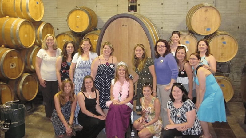 Ontario: Afternoon Wine Tour and Cheese Pairing - Three wineries, three different personalities