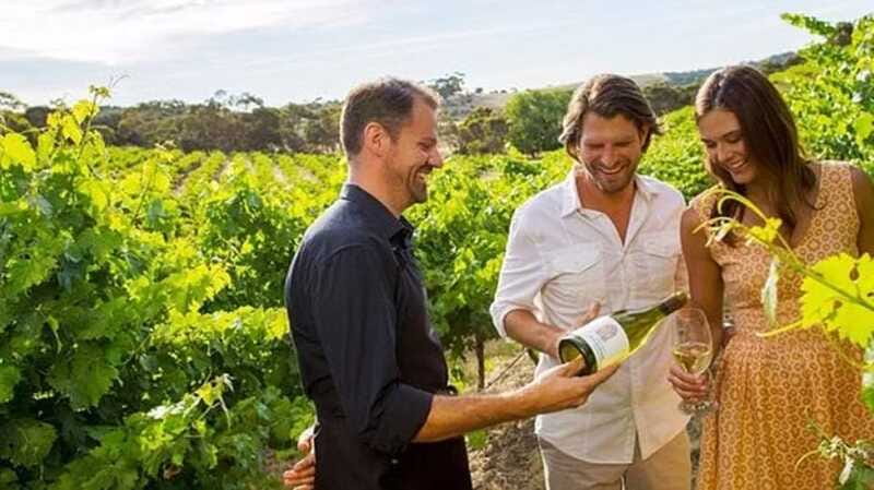 Ontario: Afternoon Wine Tour and Cheese Pairing - Ice wine is the special Niagara tasting