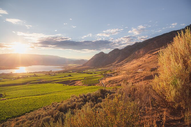 Osoyoos Half Day Wine Tour (Incl. Tasting Fees & Guide Gratuity!) - Bartier Bros. for a more personal tasting