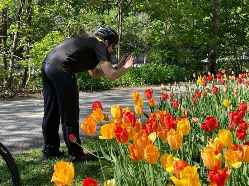 Ottawa: 2 or 3.5-Hour Guided Bike Tour with a Local Guide - Should You Book This Ottawa Bike Tour?