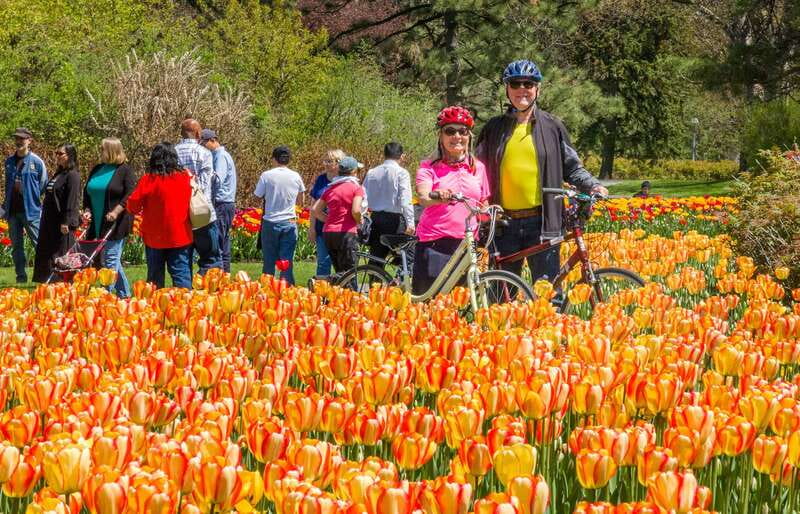 Ottawa: 2 or 3.5-Hour Guided Bike Tour with a Local Guide - Starting on Sparks Street Near Parliament Hill