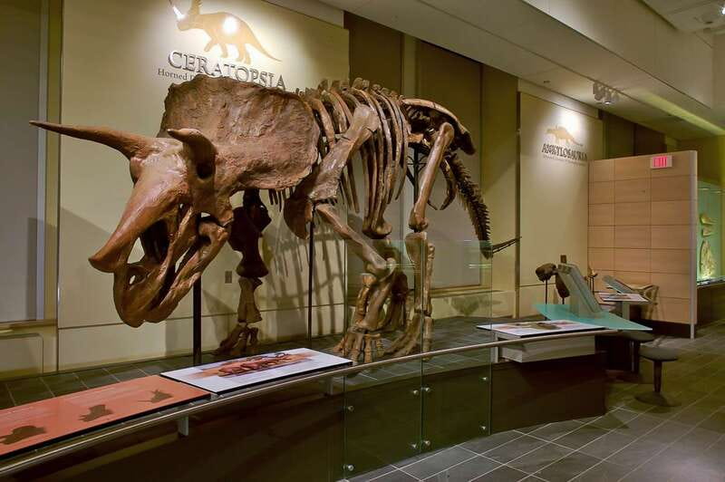 Ottawa: Canadian Museum of Nature Admission - Accessibility and useful planning details