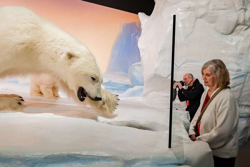 Ottawa: Canadian Museum of Nature Admission - Dinosaurs, fossils, and the blue whale