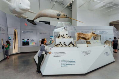Canadian Museum of Nature Admission