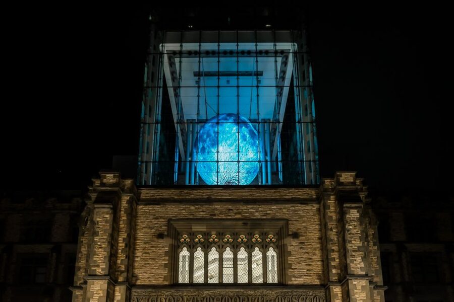 Ottawa: Canadian Museum of Nature Admission - Live animals bring the museum to life