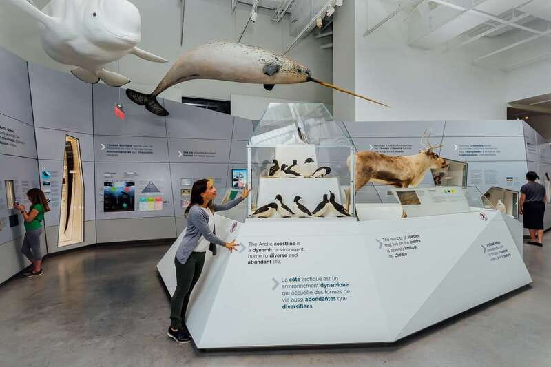 Ottawa: Canadian Museum of Nature Admission - Start with the galleries that match your group
