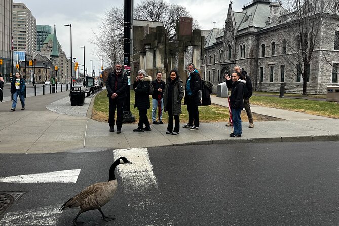 Ottawa City Highlights 3 Hour Walking Tour | Gratuity-Based - River views and Major’s Hill Park